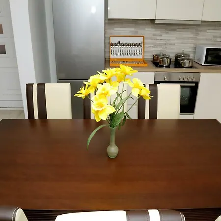 Deluxe Nika Apartment *